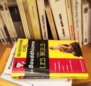 Photo du livre de Marine Manouvrier "50 notions clés sur le bouddhisme pour les nuls" posé à plat sur une étagère