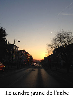 Photo d'une rue de Bruxelles à l'aube