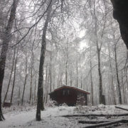 Photo d'une cabane au milieu de la forêt