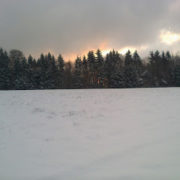Photo d'une étendue de neige devant une forêt de sapin, sous un ciel nuageux d'où la lumière perce au centre juste au-dessus de la forêt