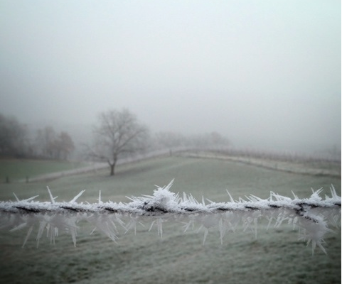 Photo d'un paysage brumeux où deux terrains sont séparés par une barrière de pics glacés