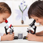 Photo de deux enfants vus de profil, en face l'un de l'autre, regardant chacun dans leur microscope