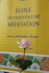 Photo d'une rose, posée devant un bannière jaune de l'École occidentale de méditation, fondée par Fabrice Midal
