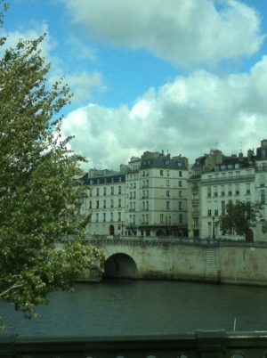 Photo prise au bord d'un fleuve, un pont le traversant et plus loin, de beaux immeubles