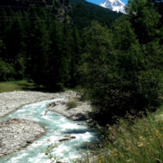 Photo d'une rivière de montagne