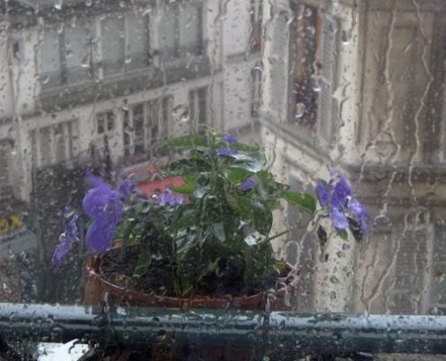 Photographie prise au travers d'une vitre de fenêtre sur laquelle ruisselle l'eau de pluie. Au premier plan, un pot de fleurs violettes est suspendu à un garde-corps . On aperçoit à l'arrière quelques immeubles.,