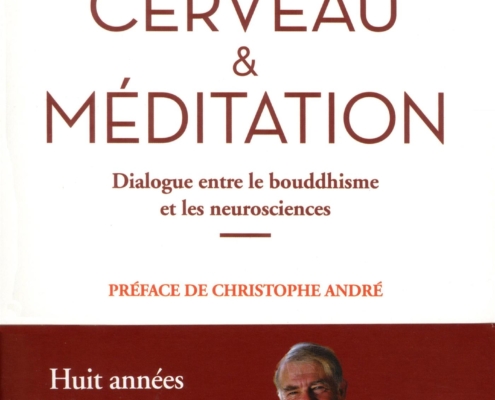 Couverture du livre Cerveau et méditation de Mathieu Ricard et Wolf Singer