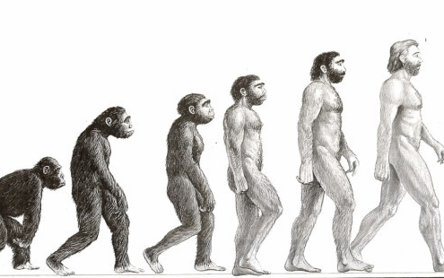 Dessin montrant l'évolution du singe à l'homme.