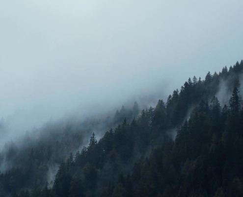 Photo d'un flan de montagne boisée sous une nappe de brume