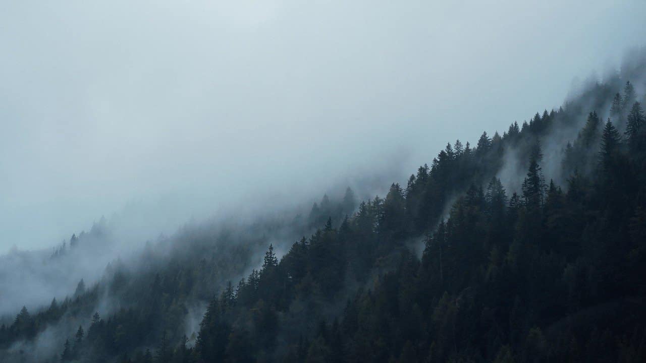 Photo d'un flan de montagne boisée sous une nappe de brume